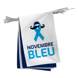 Guirlande de 20 fanions Novembre Bleu