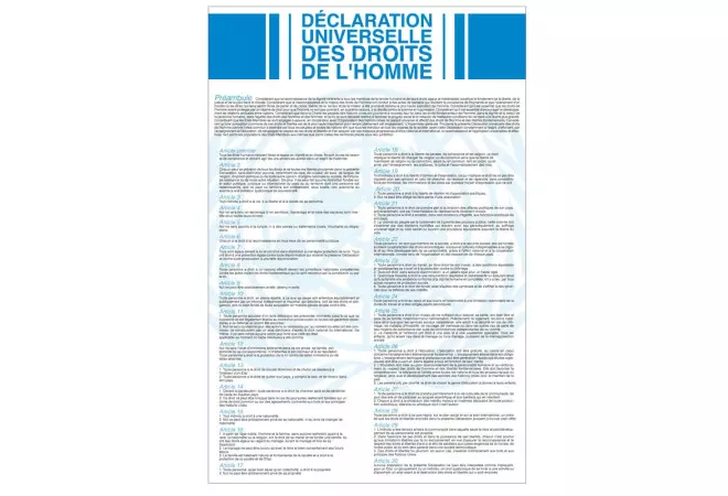 Plaque intérieur "Déclaration Universelle des Droits de l'Homme et du Citoyen" version classique