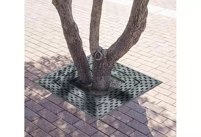 Contour d'arbre en fonte, carrée, Estadi