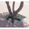 Contour d'arbre en fonte, carrée, Estadi