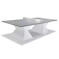 Table ping pong avec plateau résine ou bois