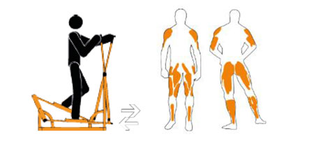 utilisation du pédalo ski