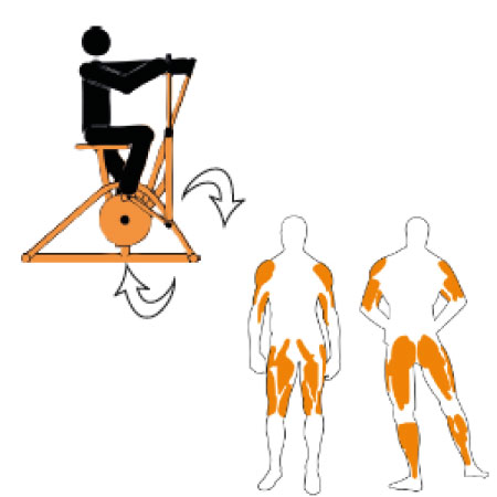 velo elliptique pour une musculation sur l'ensemble du corps