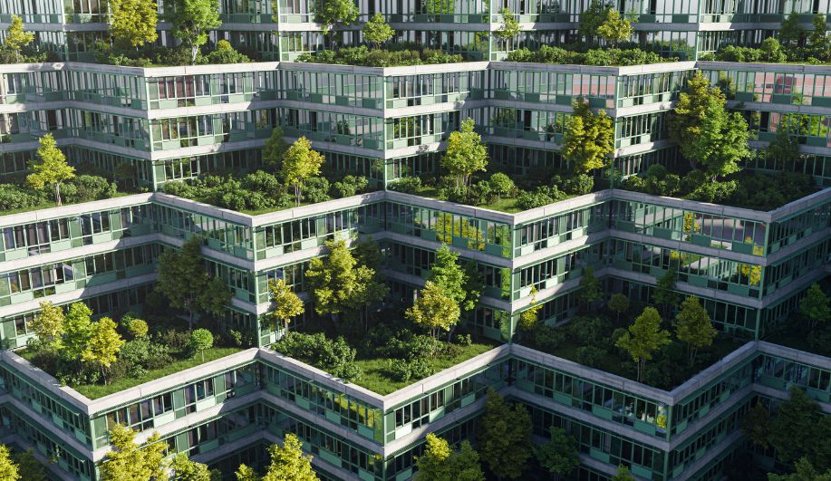 toits végétalisés bâtiment milieu urbain