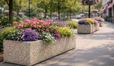 Aménagements paysagers : comment optimiser le fleurissement urbain ?